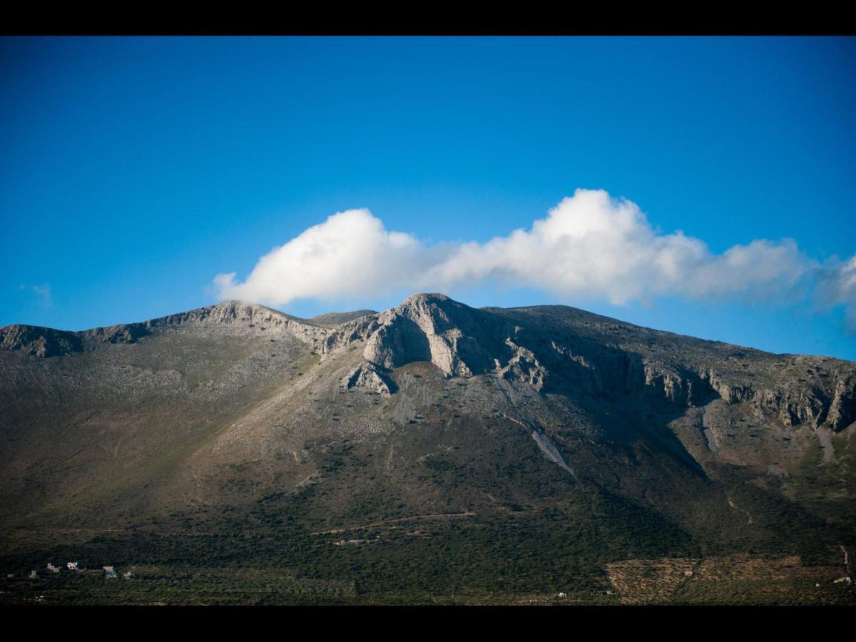 الشقق الفندقية Pírgos Dhiroúفي  Arapakis Historic Castle المظهر الخارجي الصورة